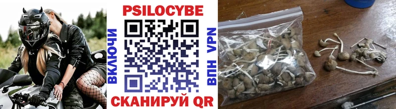 купить наркотик  Среднеуральск  Псилоцибиновые грибы MAGIC MUSHROOMS 