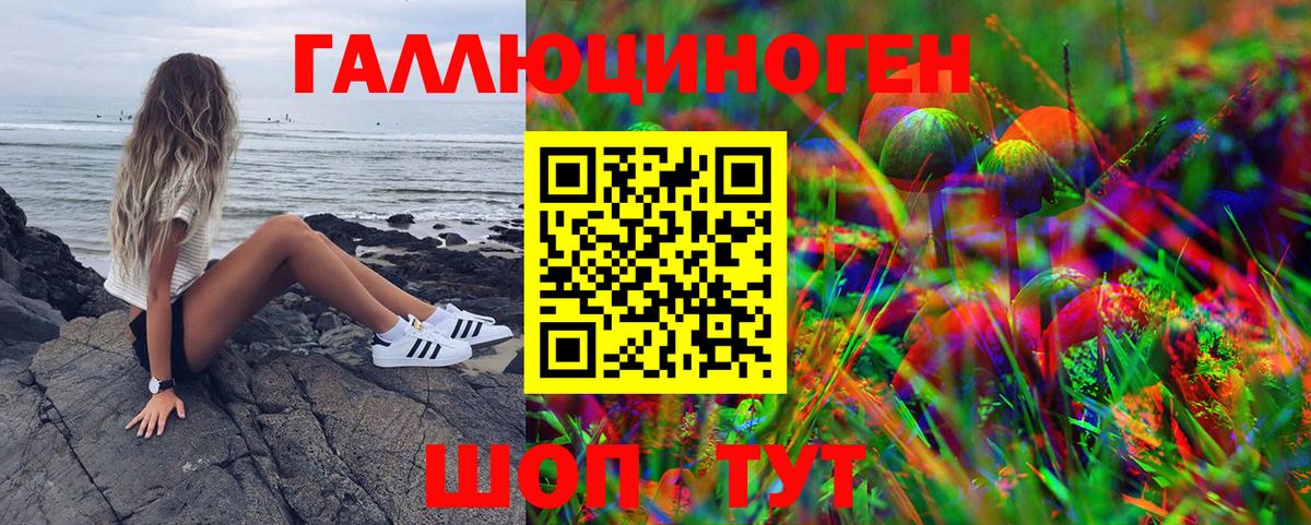 Псилоцибиновые грибы Psilocybe Среднеуральск